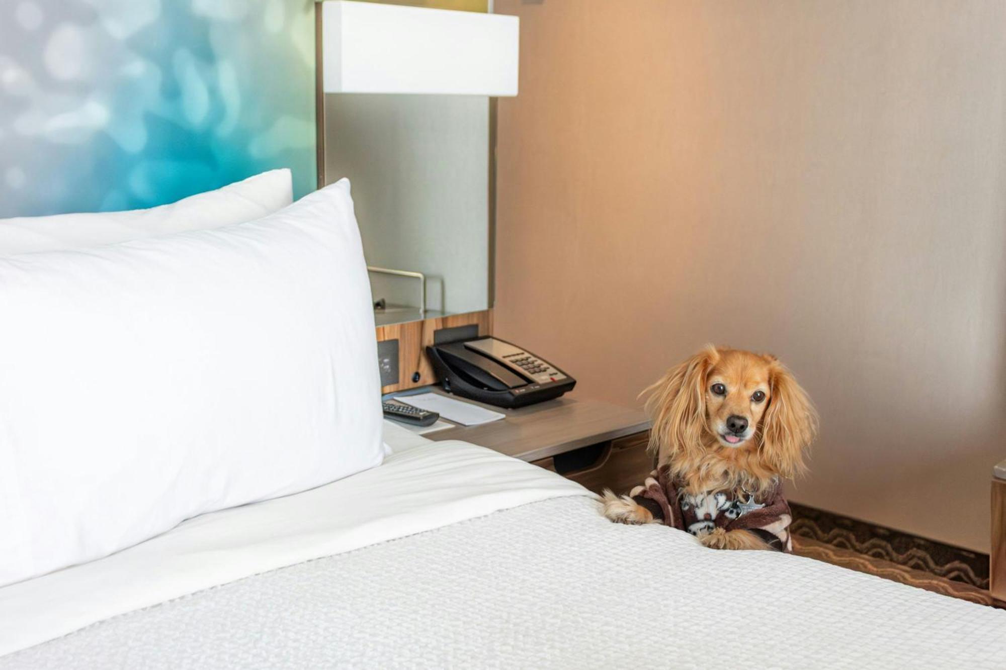 Courtyard By Marriott Vallejo 4*